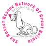 Basset Rescue Network Of GB